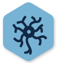 Central Nervous System