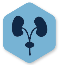 Renal and urinary disorders